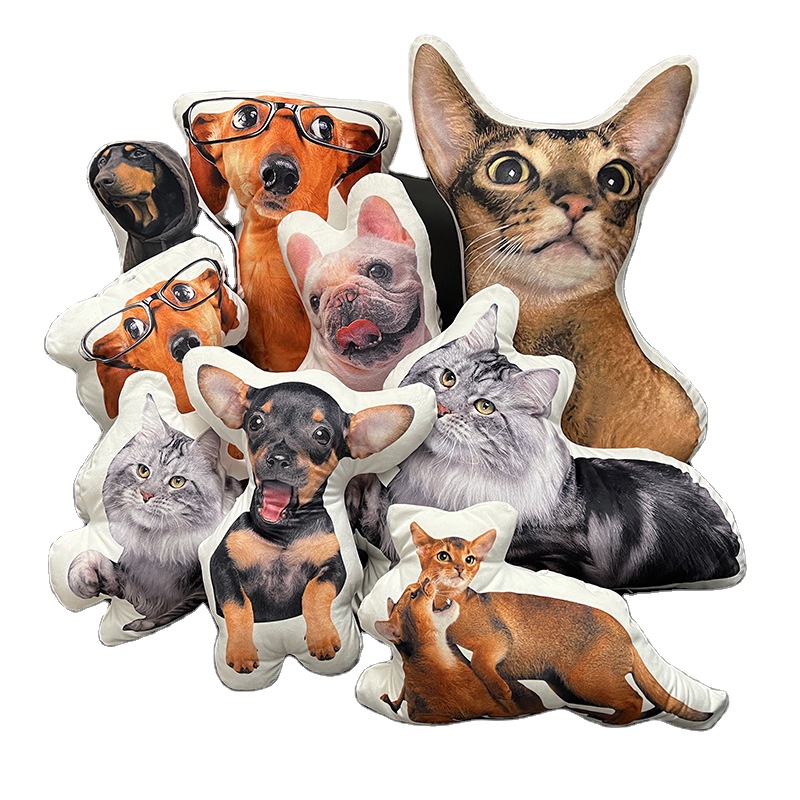 No MOQ Cheap Dakimakura Irregular Shape Customized Throw Small Pillow With Your Designs Animal Shaped Pillow