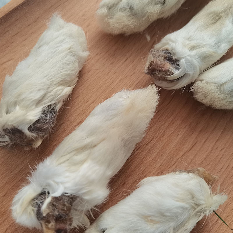 Factory Direct Export Rabbit Feet Healthy Dog Snacks Dog Treats Pet Food 100% Natural Pet Snack Supplier