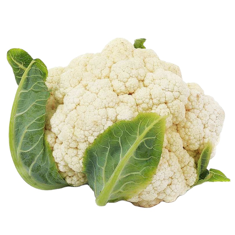 Fresh vegetable high quality white cauliflower hot sale with competitive price