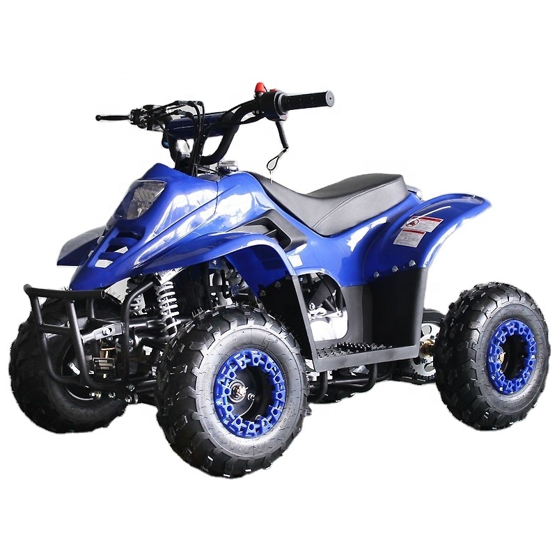 Tao Motor hot selling model ATA110-F 110cc Kids ATV for sale 2x4 quat