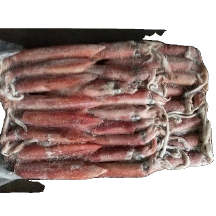 Горячая продажа первого уровня замороженный красный Loligo кальмар