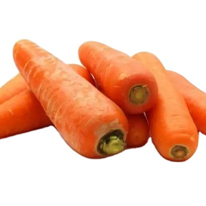 Organic planting fresh vegetables wholesale carrot/garlic seeds price of carrots/garlic