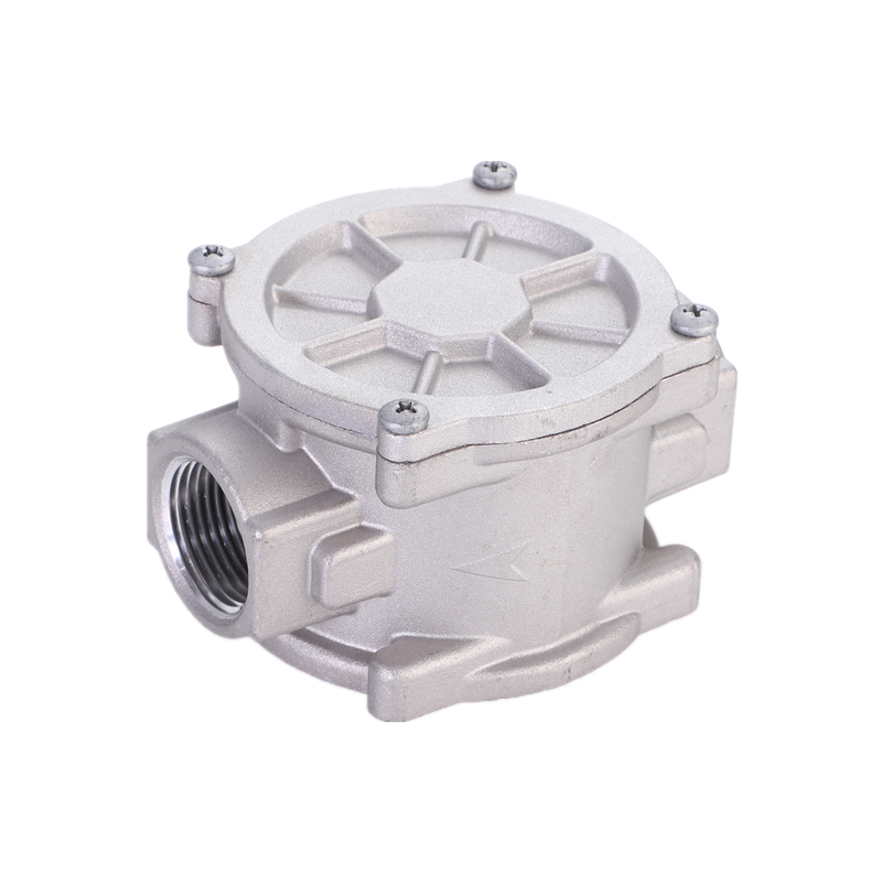 Impurity filtration machine industrial filter equipment gas filter tools DN25 1'4 chinese manufactory CE