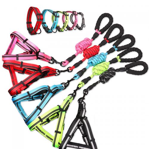 Pet supplies factory LOGO Printed Dissimilarity Pet Products Durable Dog Harness Leash Lead Nylon colorful Pet Collars & Leashes