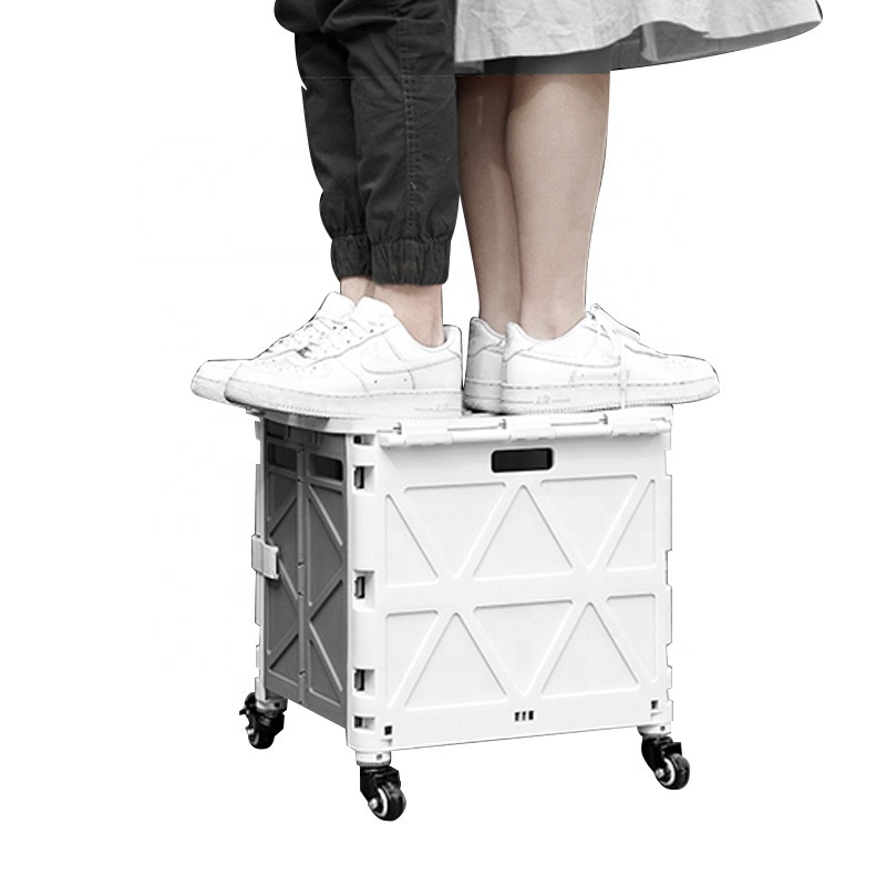 Anjuny Multi-Purpose Large Shopping Trolley Wheeled Folding Fashion Luggage Cart