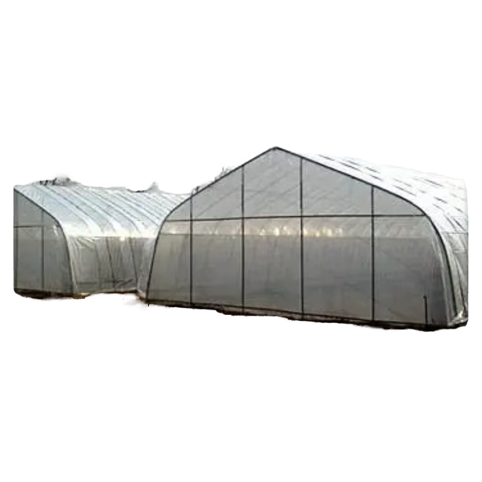 Single Layer Greenhouse for Chicken Duck Made of Steel Film Plant Agricultural Use Hot Selling Large Scale Farm Breeding Sheds