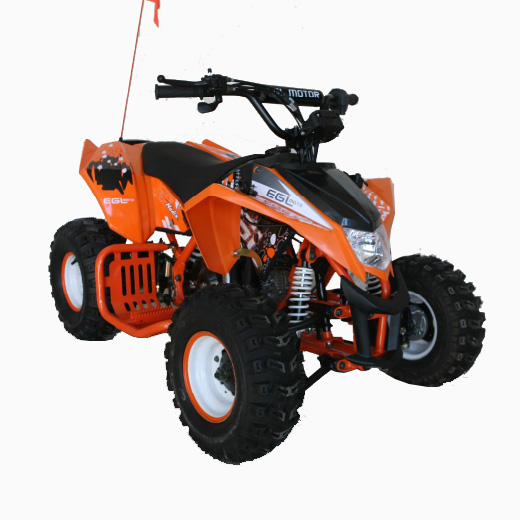 110CC китайский газовый квадроцикл для детей