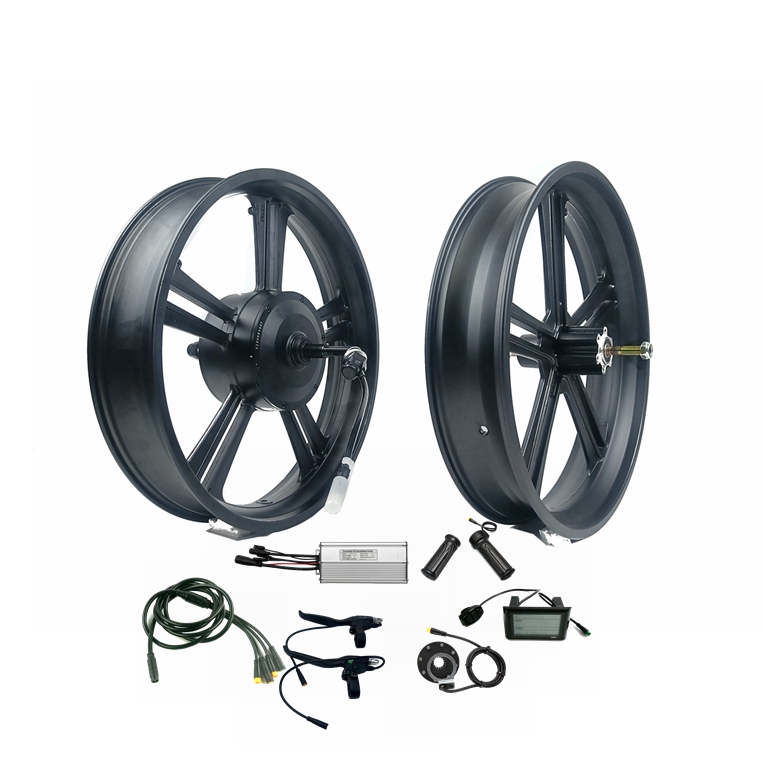 Electric bike 20inch*4.0 fat tire conversion kit ebike 750w 48v rear motor wheel front rim with all waterproof connectors