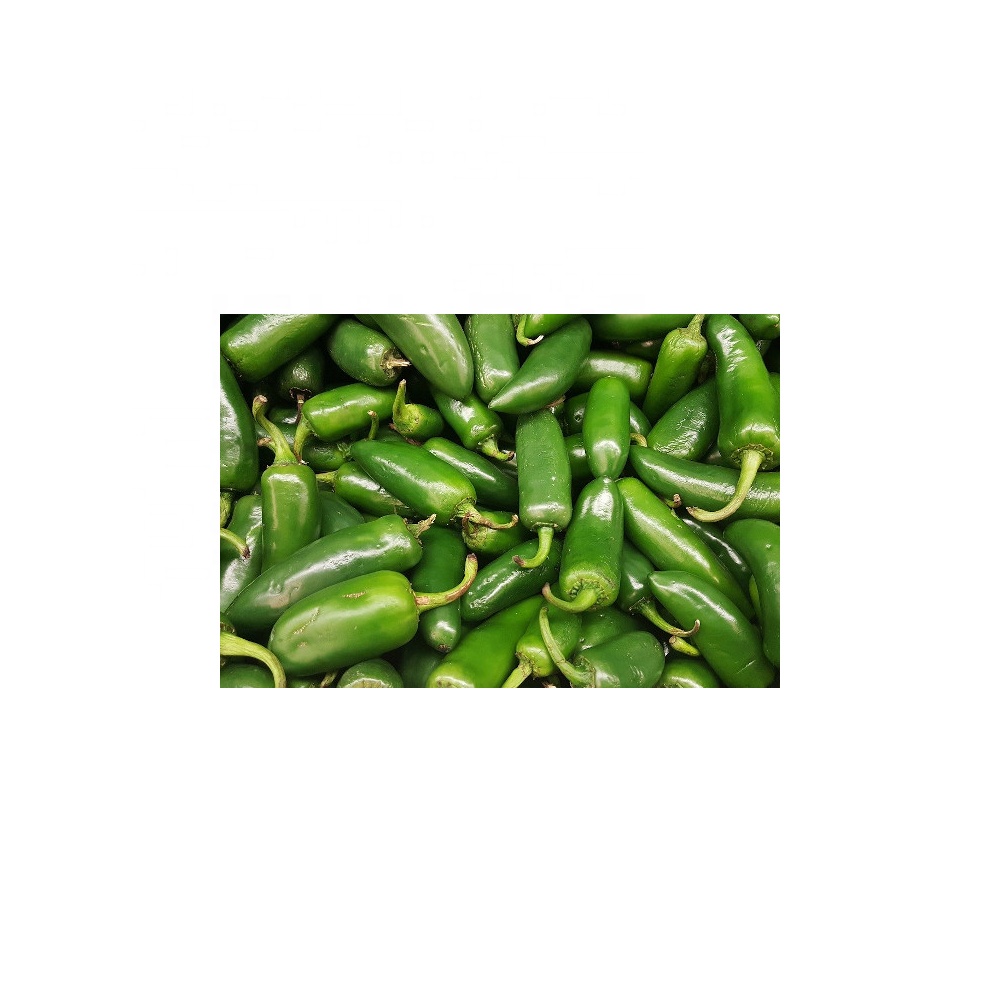 Технология IQF для Jalapenos весь ломтик вырезать нарезанный зеленый перец халапеньо кроя оптом Замороженные овощи с Цена по прейскуранту завода-изготовителя