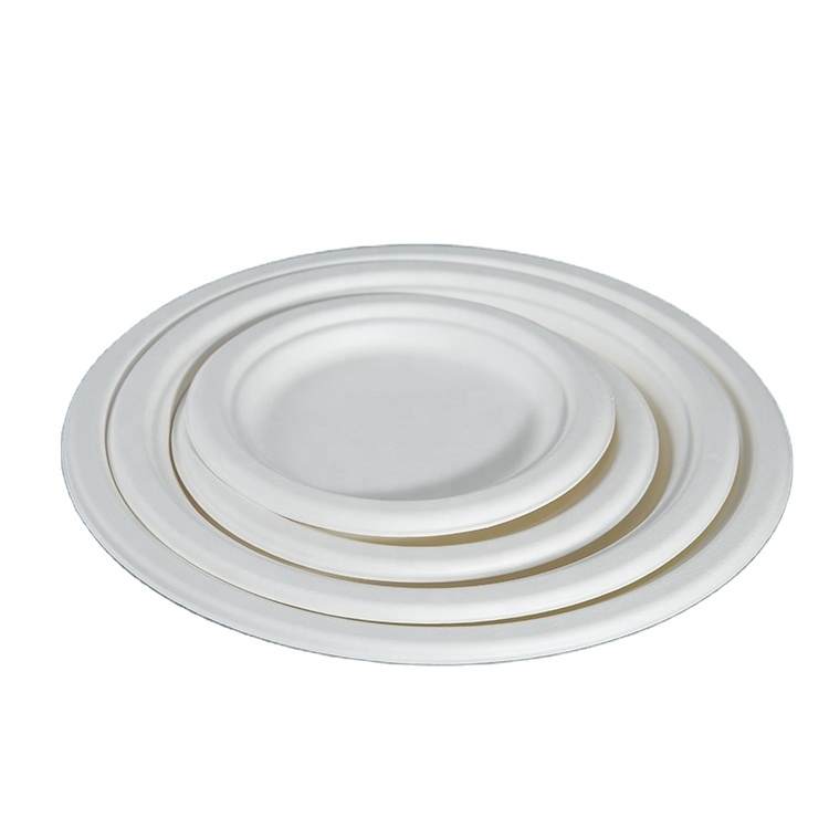 Kingwin Customizable Biodegradable Meat Tray Bagasse Sugarcane Paper Pulp Sushi Tray