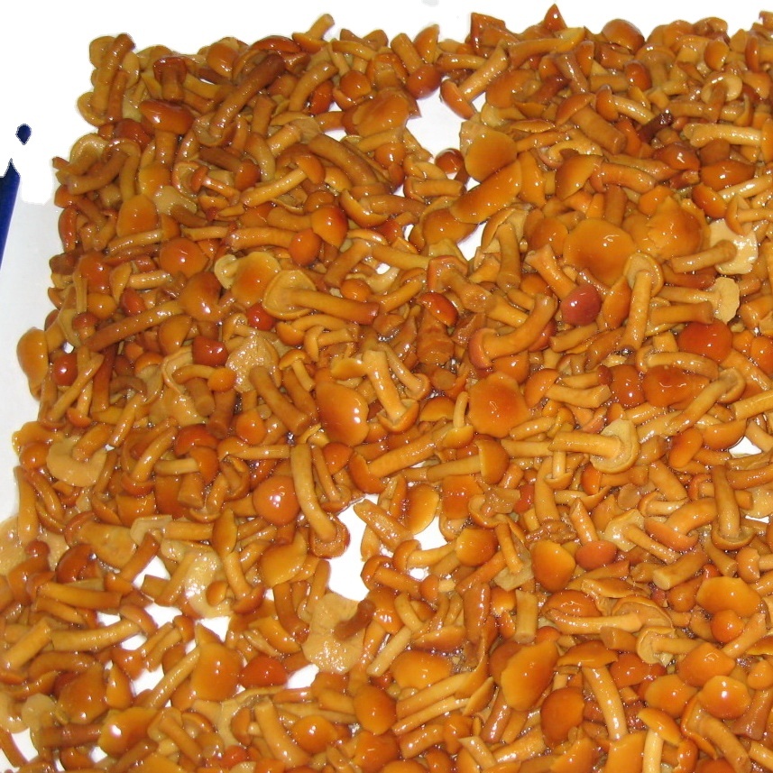 Консервированный гриб Nameko
