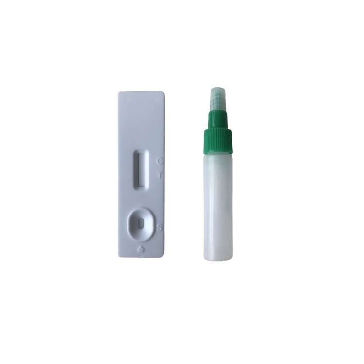 Colloidal Gold Home Rapid One Step Helicobacter H Pylori Antigen Ag Test Kit Plastic Cassettes