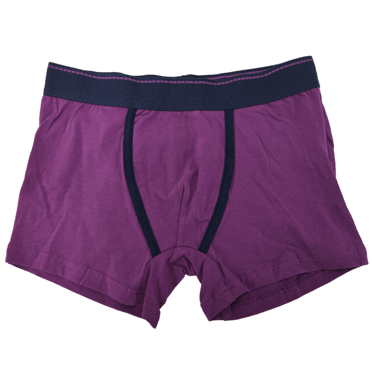 Printed Design Boy's  Brief Panty Shorts Boxer