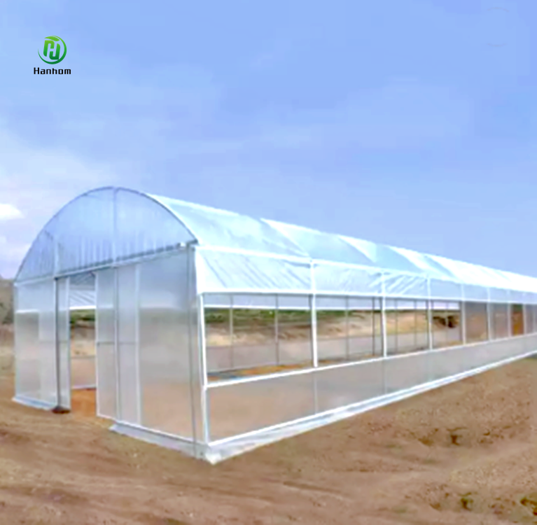Commercial industrial other greenhouses single span high tunnel tomato plastic agricultural greenhouse