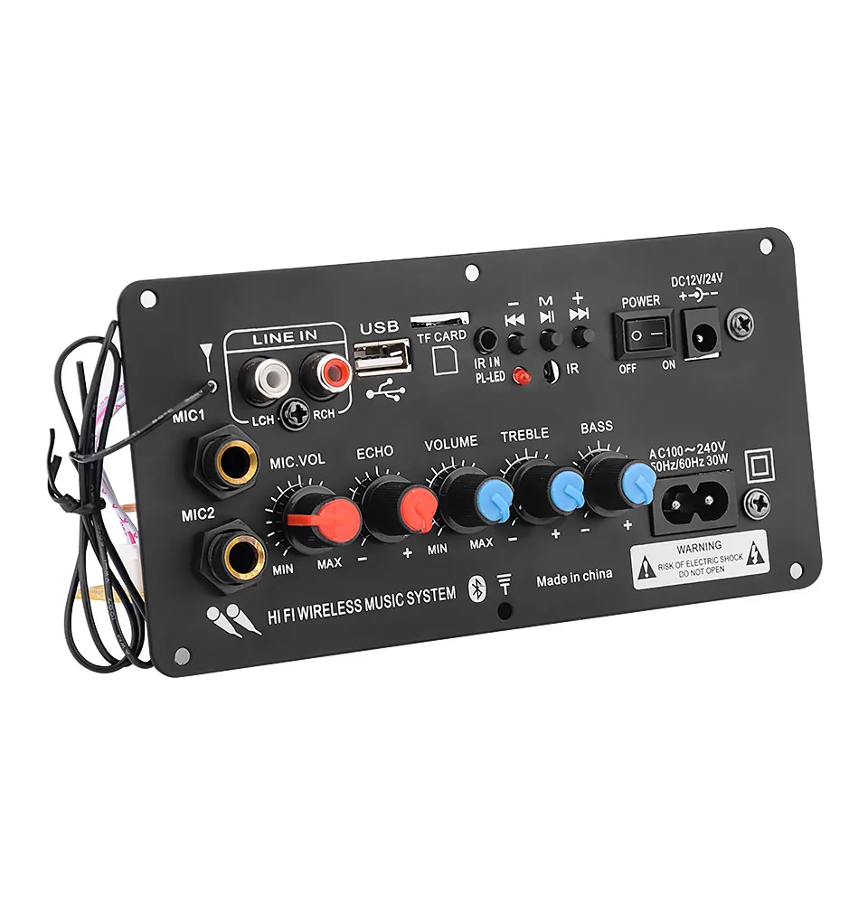 Subwoofer Digital BT Amplifier Board Dual Microphone Karaoke Amplifier Reverb 12V 24V 220V For 8-12 Inch Speaker