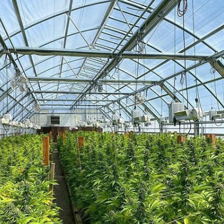 Дешевые сельскохозяйственные палатка singlespan Green House полиэтиленовая пленка туннель однопролетные теплицы для продажи