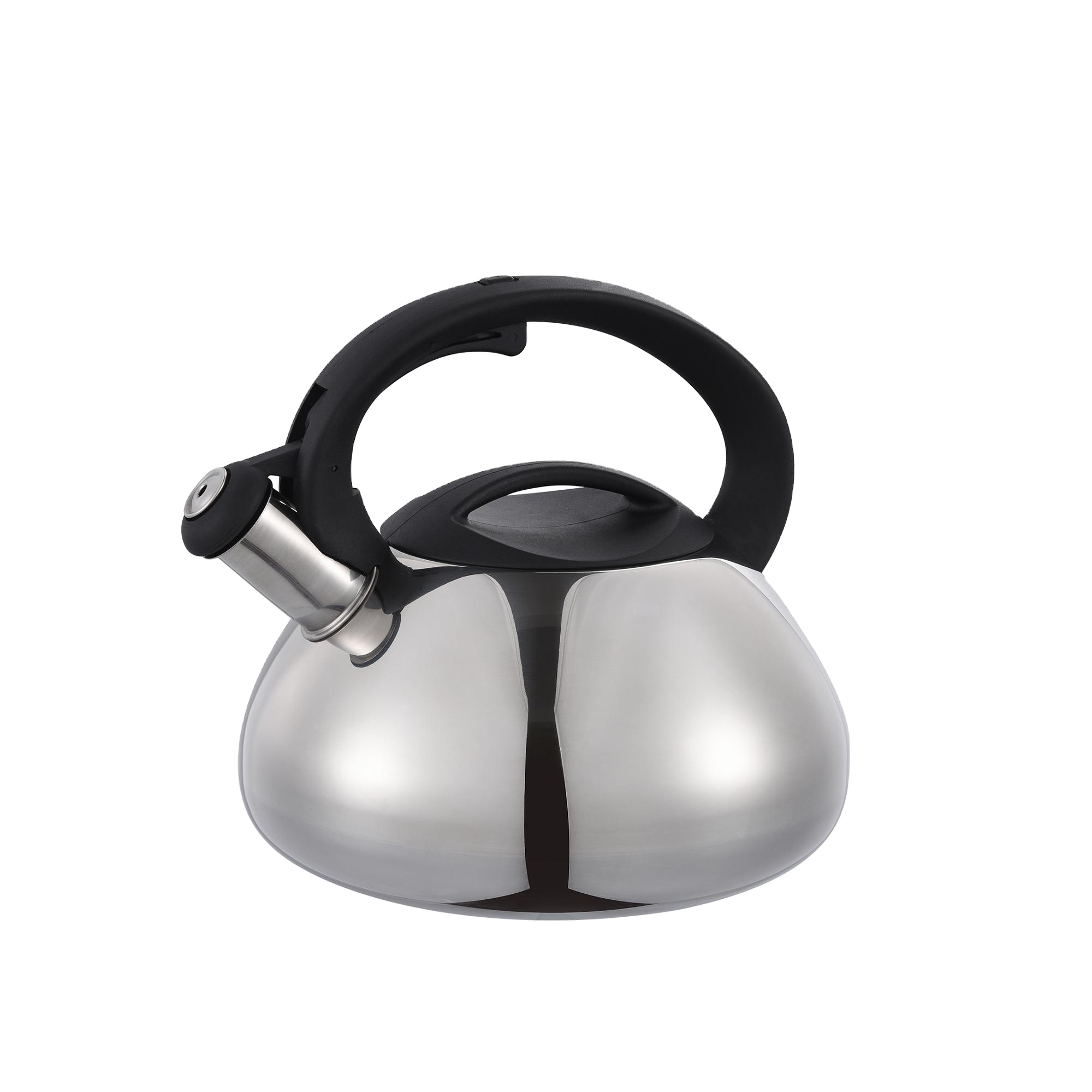 Stove Top stainless steel whistling kettle