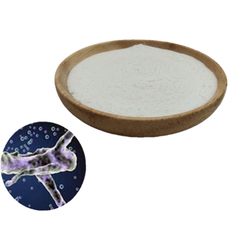 Hot selling top quality food supplement probiotic lactobacillus rhamnosus