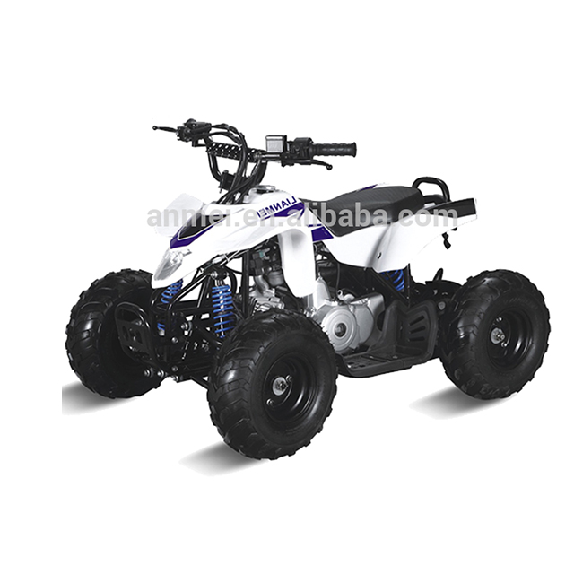 Дешевые цены atv в Китае (стандарты CE, квадроциклы 4 квадроциклов atv для взрослых