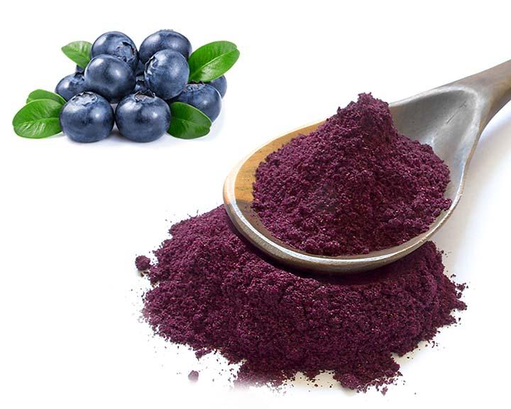 Hot sale Natural Contributes to health Organic Blueberry juice Powder for coffee shop