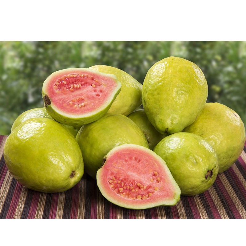 Здоровые вкусные свежие розовые гуава, колумбийские гуавы, экзотические фрукты