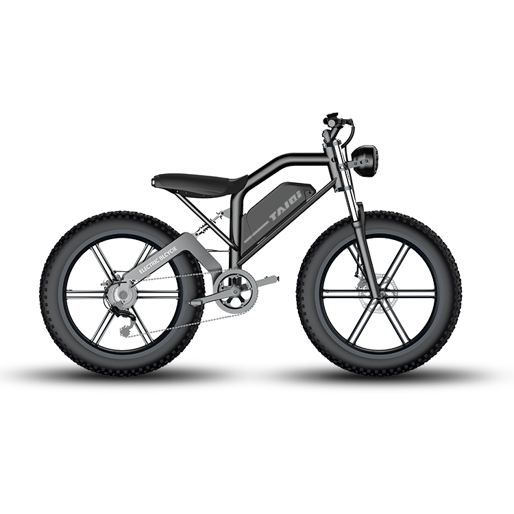 Шина на 2020, 48 В, 12,5-2020 Ач, литиевая батарея, супер модель 73 e bikes, электрический велосипед