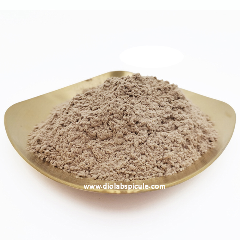 Крупные партии, русское происхождение, коричневая губка, spicule Spongilla экстракт 70%, коричневая гидролизованная губка 70% Spongilla lacushis экстракт порошка