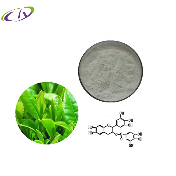 Заводская цена экстракт чая 98% EGCG/epigallocatechin gallate CAS 27073-41-2