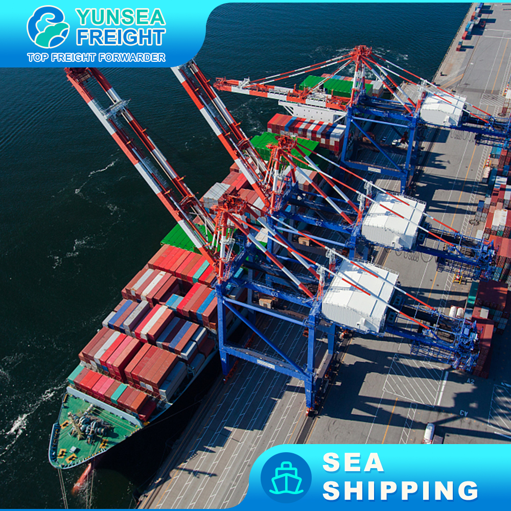 International shipping fast logistics professional one-stop customs declaration to the Persian Gulf region ports freight forward