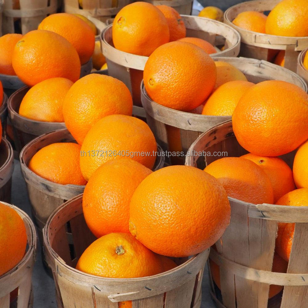 Sweet Fresh Orange, Naval Orange, Valencia Oranges