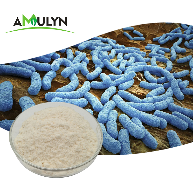 Заводская поставка, высококачественный пробиотический порошок lactobacillus casei