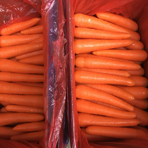 High Quality Fresh China Carrot For Export