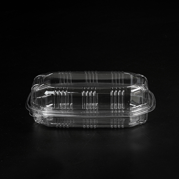 Hot sale disposable plastic food packaging hotdog storage container supplier