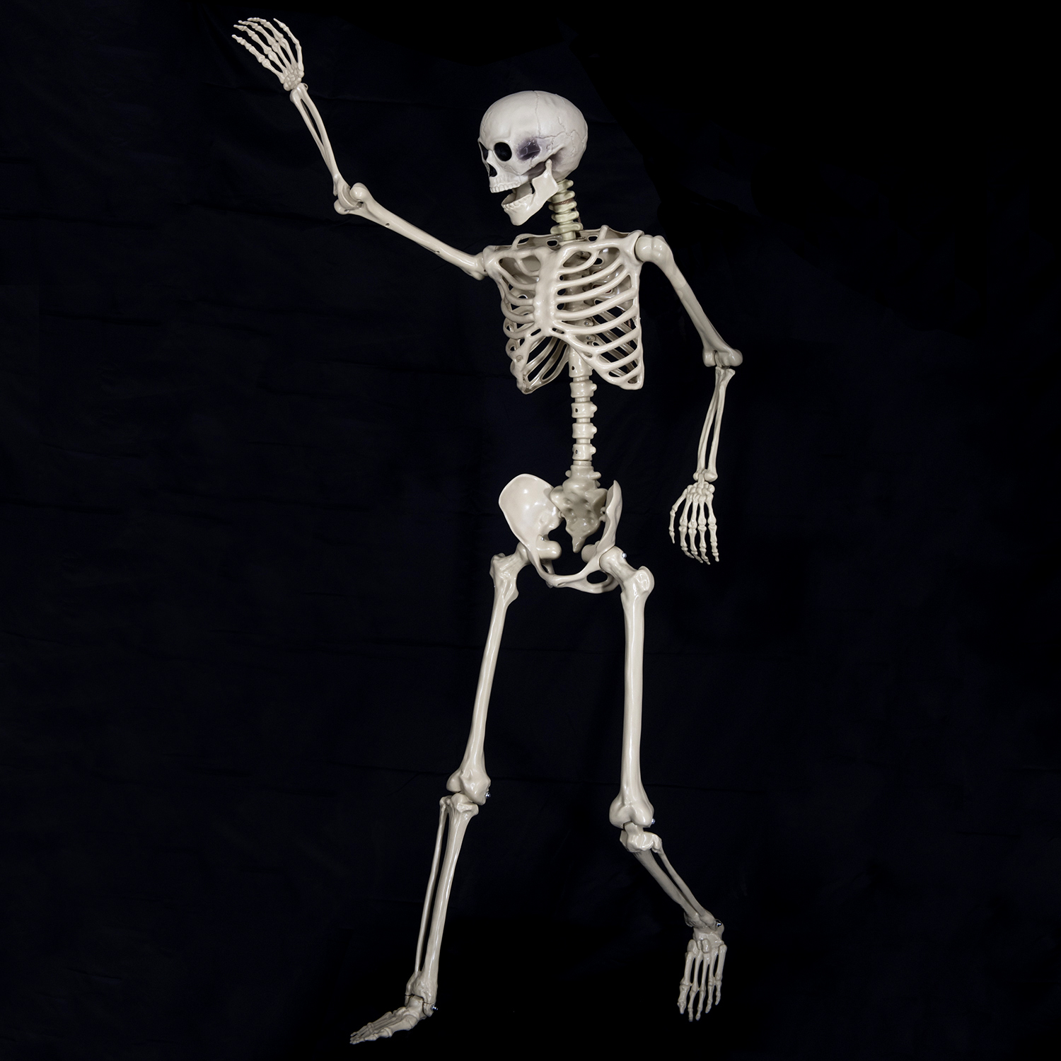 Animated Props Scary Skeleton Bones Halloween Skeleton Life Size for Halloween Decoration