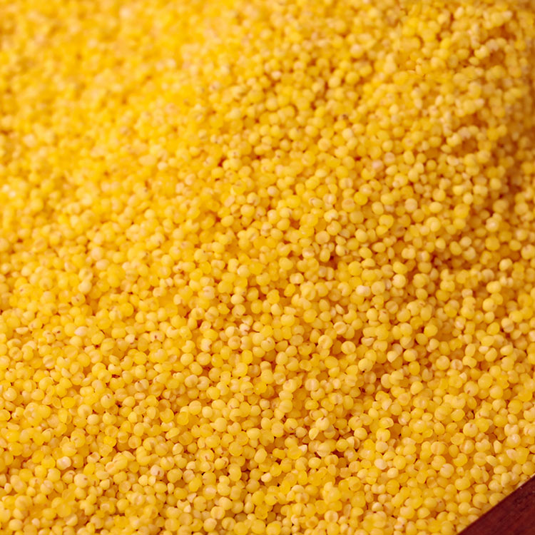 Price Of 100% Natural Protein-Rich Yellow Millet