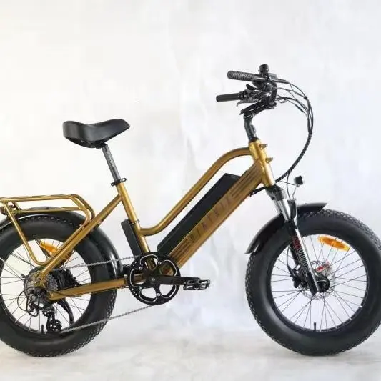 E-bikes w/ battery Cheap Sea Freight Shipping Forwarder Agent China to USA NORWAY CANADA LCL FCL container DDP ddu door to door