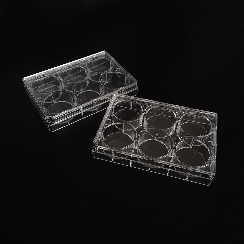 High Transparency Dnase Rnase Free Sterile Petri Dish