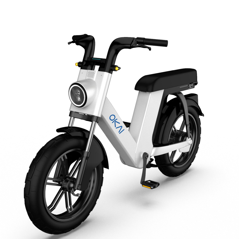 CE Good Quality Fat Tire Lithium Battery Electric Bike Bicycle 750w Ebike 48v E-Bike