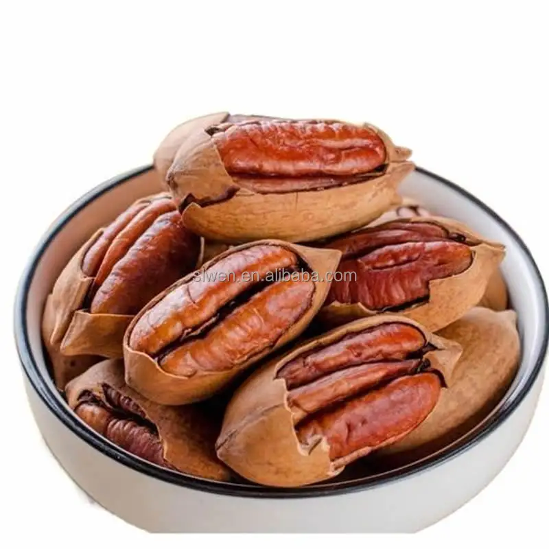 100% Natural First Quality Roasted Salted pecans nuts with shell pecan nuts raw