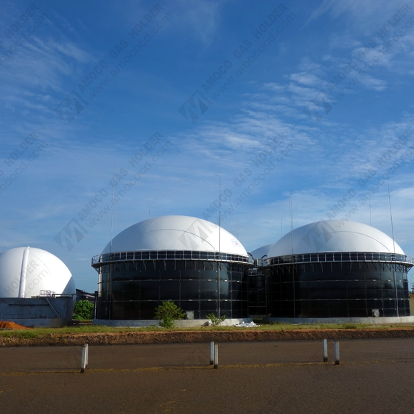 BIOGAZ крыши для biodigester фабрики отходов Биогазовая установка