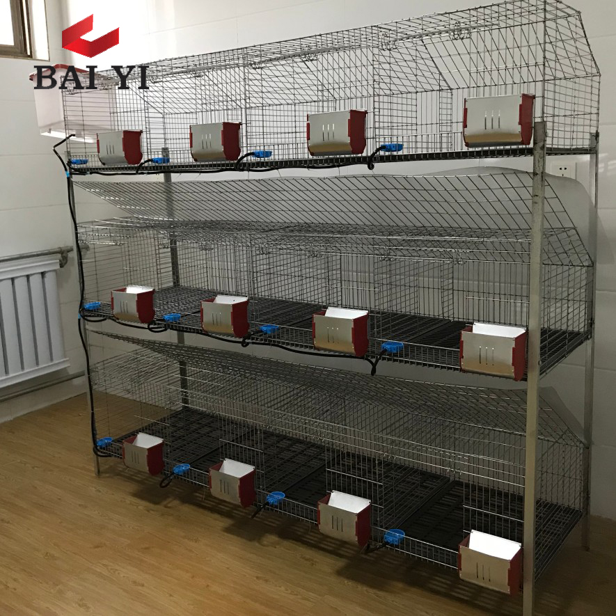 Клетки для кроликов на продажу