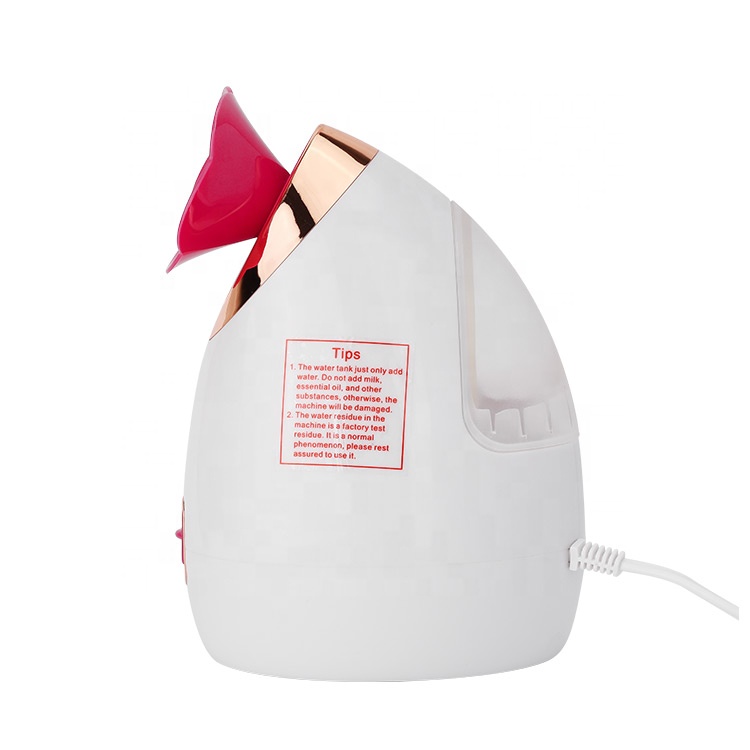 Wholesale steaming face daily handheld face steamer