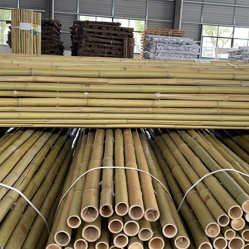 High quality bamboo material cheap 3 meter bamboo poles for vineyard trellis