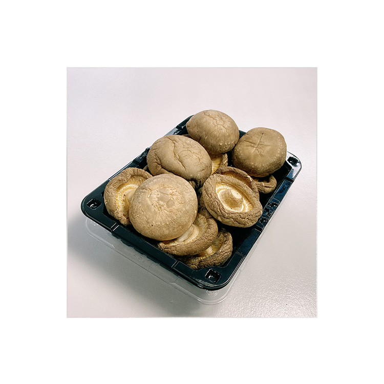 Premium Low Price Grade Umbrella Cap Organic Dried Mushroomss