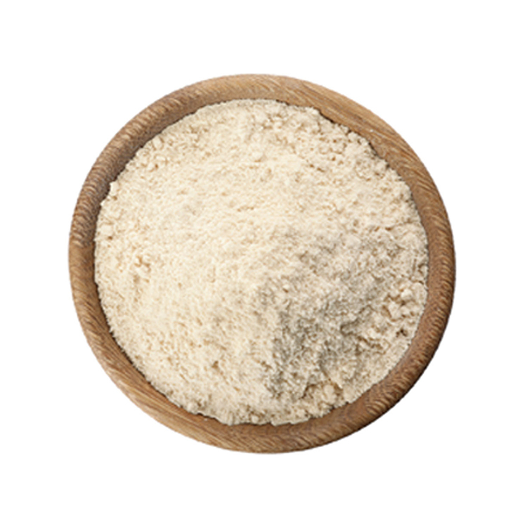 JKA Wholesale Probiotics Powder Lactobacillus Reuteri