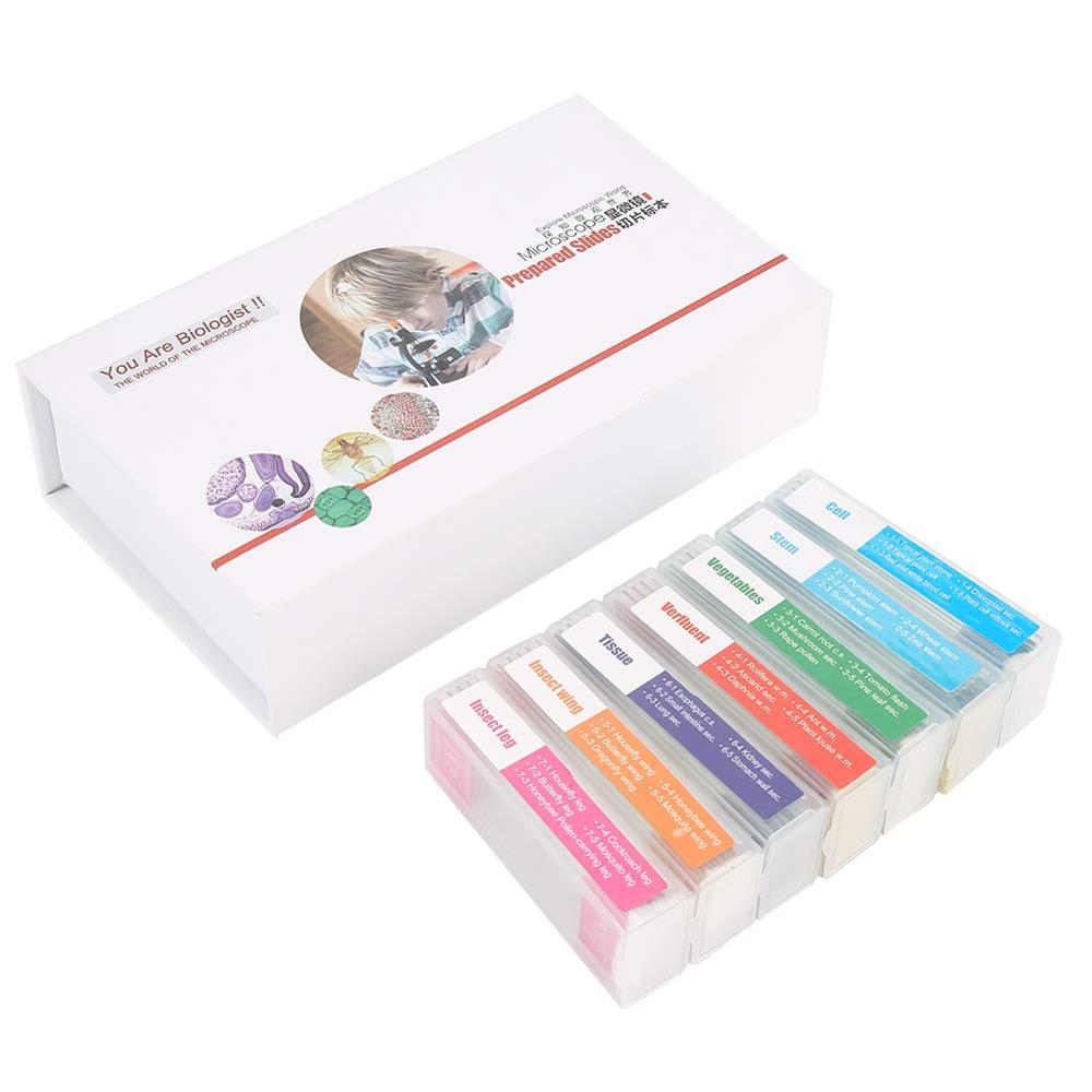 35pcs Biology Glass Prepared Microscope Slides Lab Specimens Set for Basic Biological Science Education