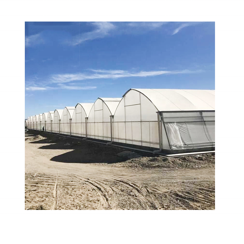Good Quality And Easily Installed Agricultural Professional Design Automatic Greenhouse High Quality Commercial Greenhouse