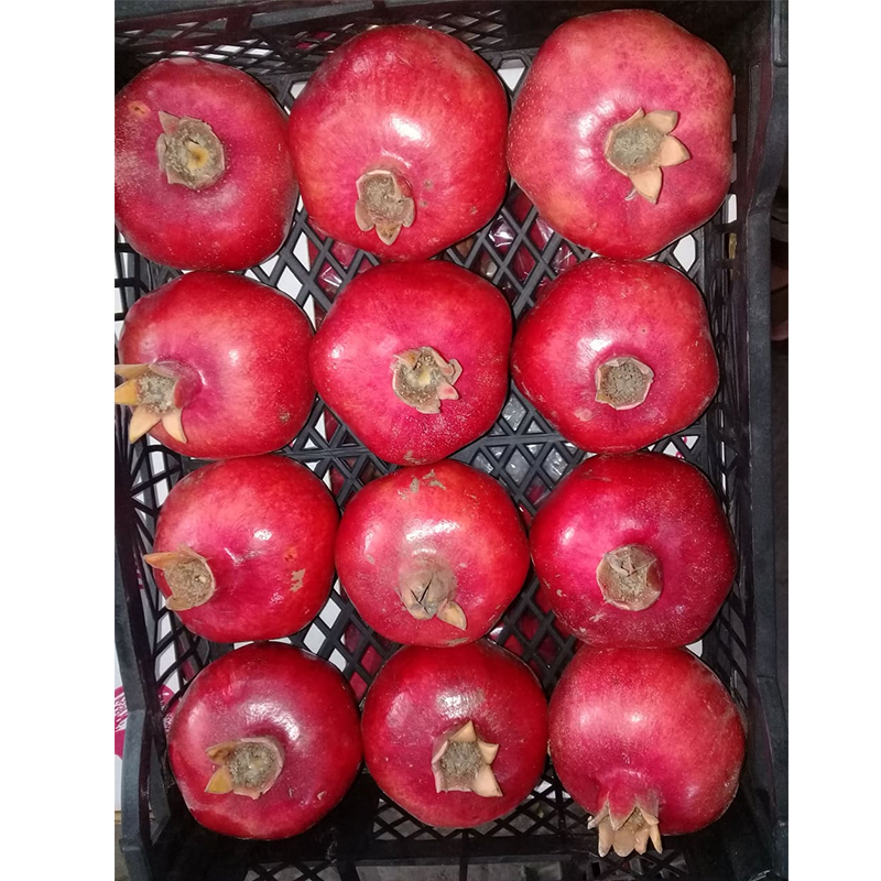 Good Price Natural Red Juicy Fresh Egypt Pomegranate Fruit for Sale