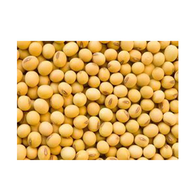 Соевые бобы NON-GMO соевые бобы, соевые бобы высокого качества, соевые бобы оптом из Индии