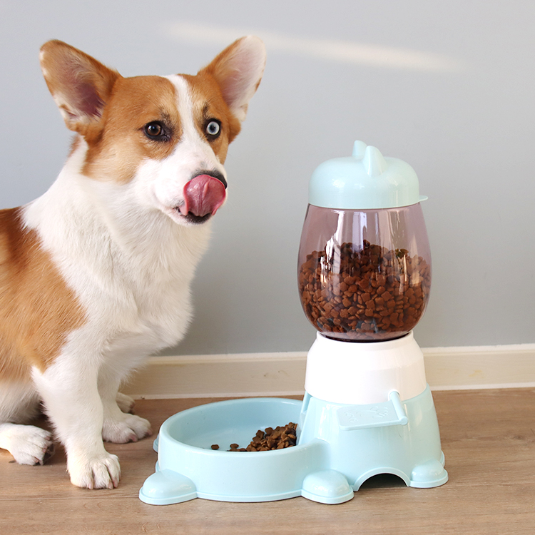 2021 EVERICH Luxury Smart Auto Automatic Pet Dog Cat Food Water Dispenser Bottle Bowl Pet Feeder Pet Water Dispenser